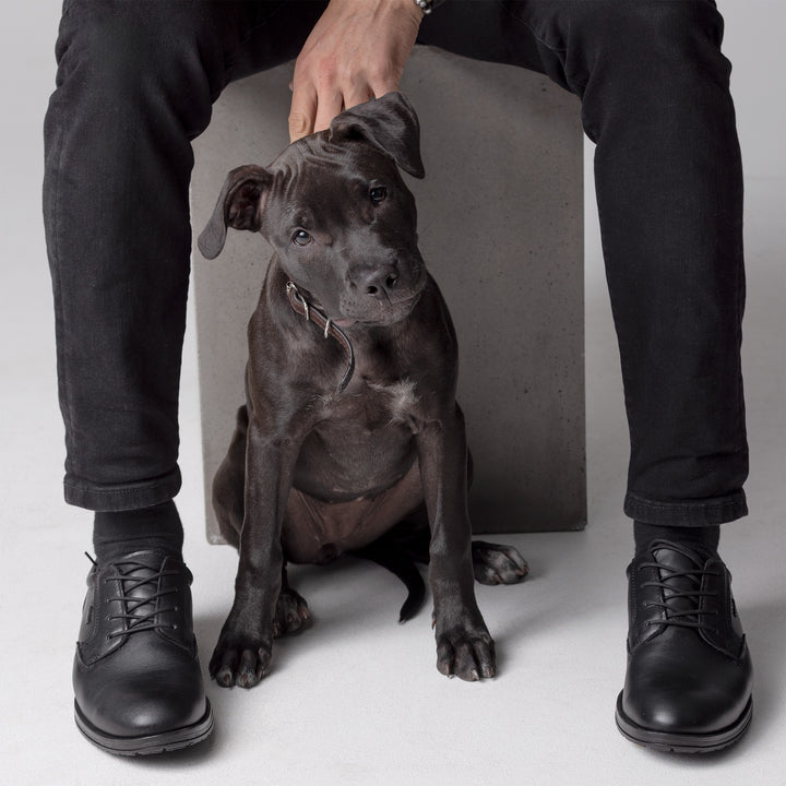 NEVA Men’s GORE-TEX® lace-ups